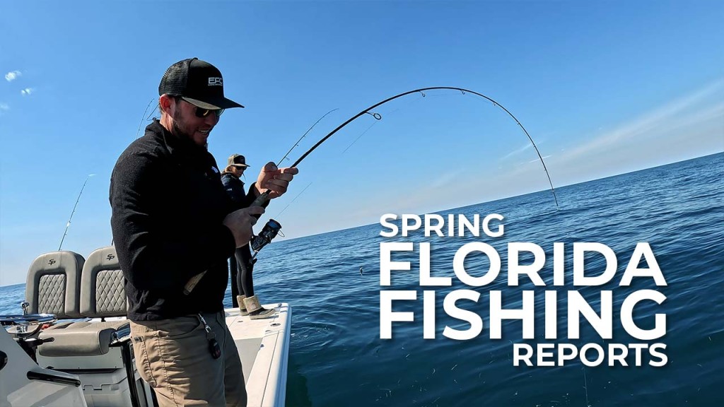 Spring Florida fishing report
